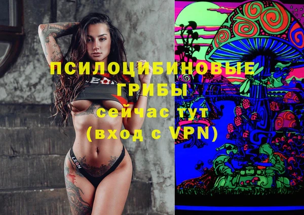 гашик Гусев
