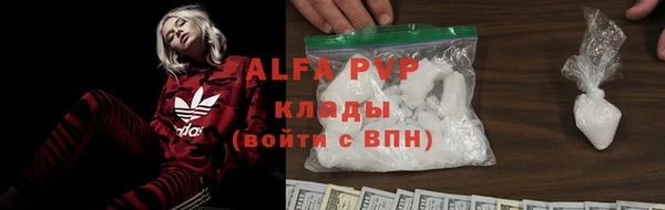 гашик Гусев