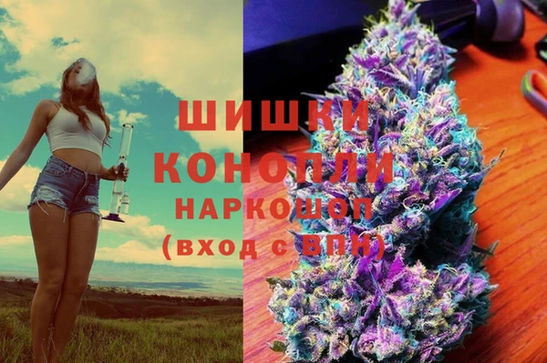 гашик Гусев