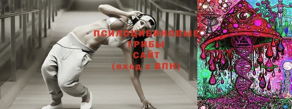 гашик Гусев