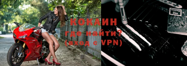 гашик Гусев