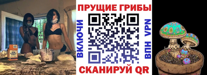 гидра как войти  Железногорск  Псилоцибиновые грибы ЛСД 